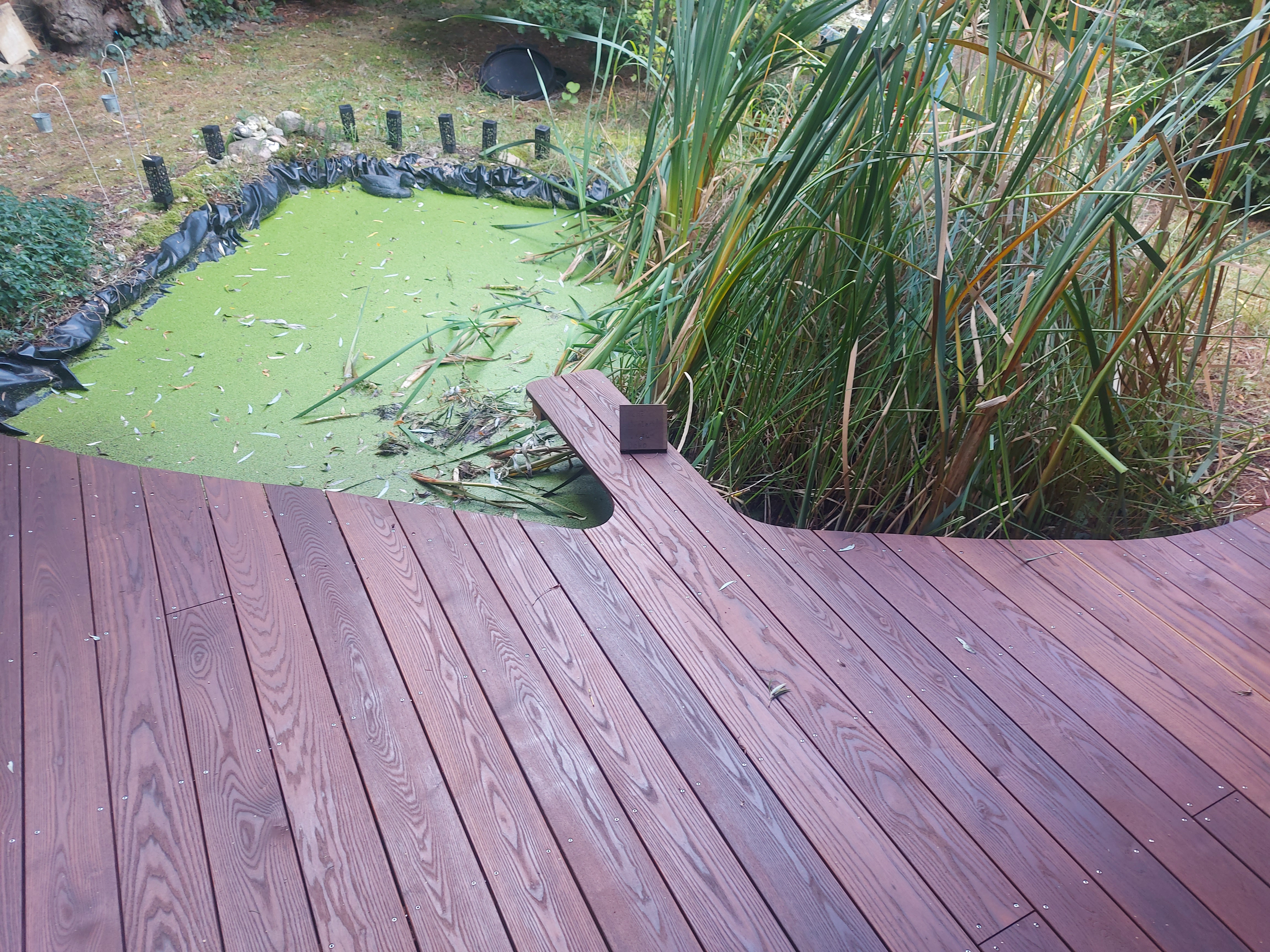 ThermoeschenterrasseamTeich3